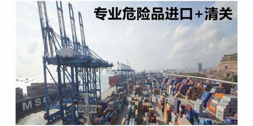 海上国际货物运输代理行业深度洞察 航运复苏预期增强，服务升级分化为新赛道